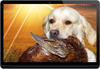 Webs for breeders